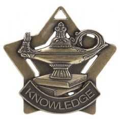 ميدالية المعرفة 6